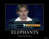 elephants.jpg elephants.jpg