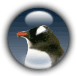 Yeti / Penguin