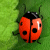 Bugbuster
