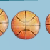 3D Net Blazer