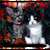 Hidden Animals Kittens