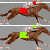 trottertrack