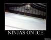 Ninjas_On_Ice Ninjas_On_Ice